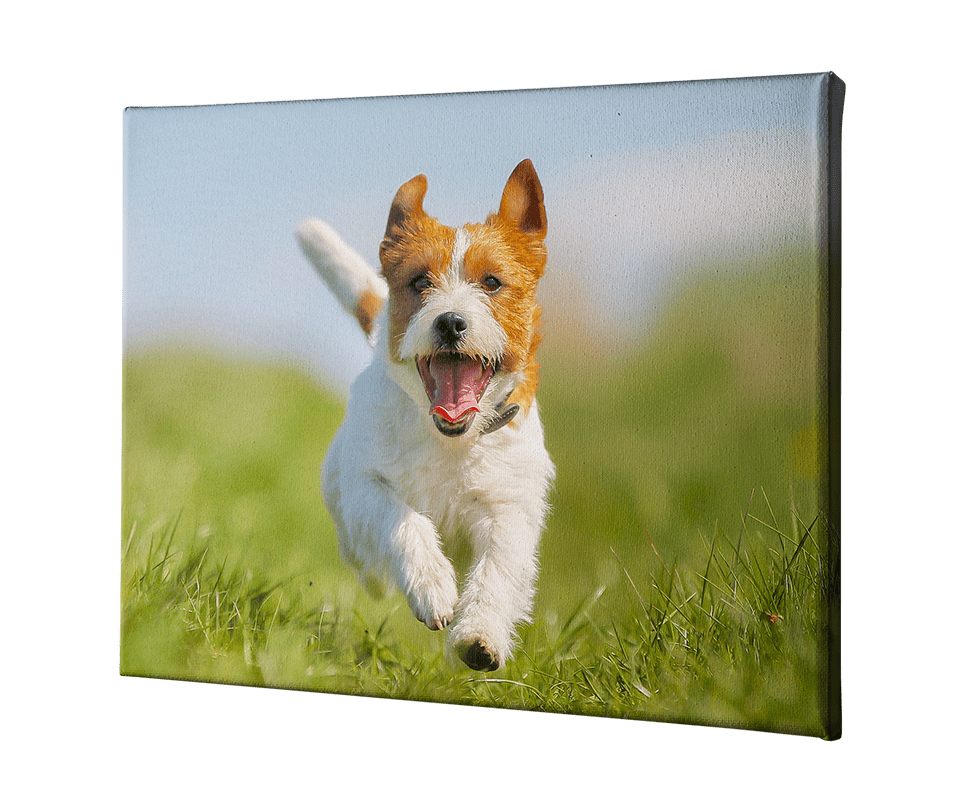 Canvas printing & mounting