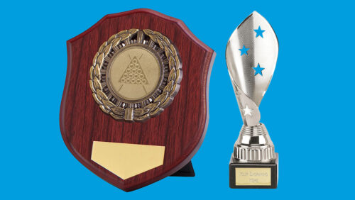 Reward success with trophies and awards