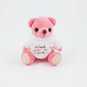 12.5cm Strawberry Candy bear tshirt
