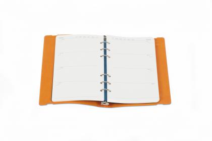 Collins Undated Organiser Dayplanner Personal Soft Cover Standard