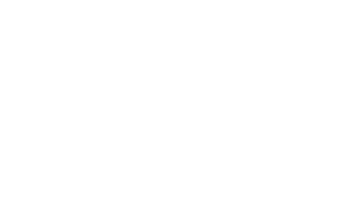 Krazy horse logo