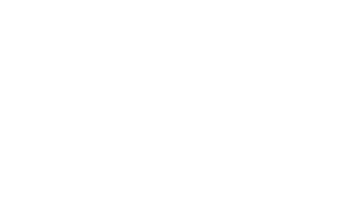 the one bull logo